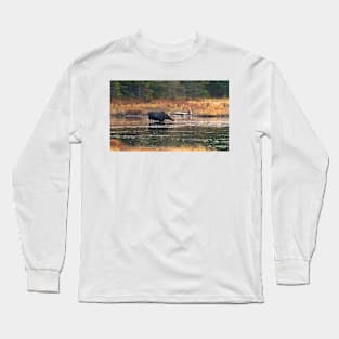 Moose - Algonquin Park, Canada Long Sleeve T-Shirt